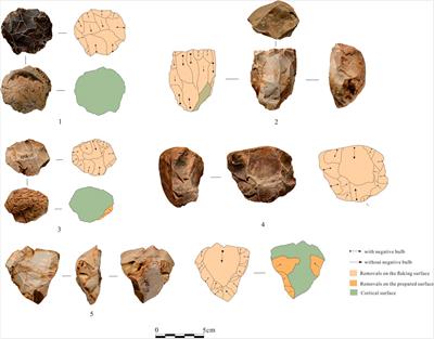 Lithic technological strategies of Late Pleistocene hominins in the Daoshui River valley, Hunan province, central South China
